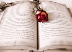Las novelas no son el único formato en el que hay libros preciosos