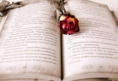 Las novelas no son el único formato en el que hay libros preciosos