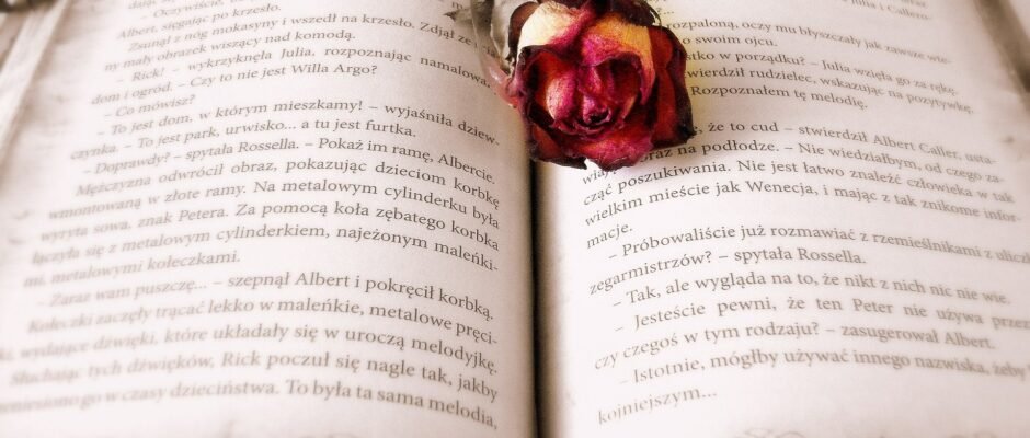 Las novelas no son el único formato en el que hay libros preciosos