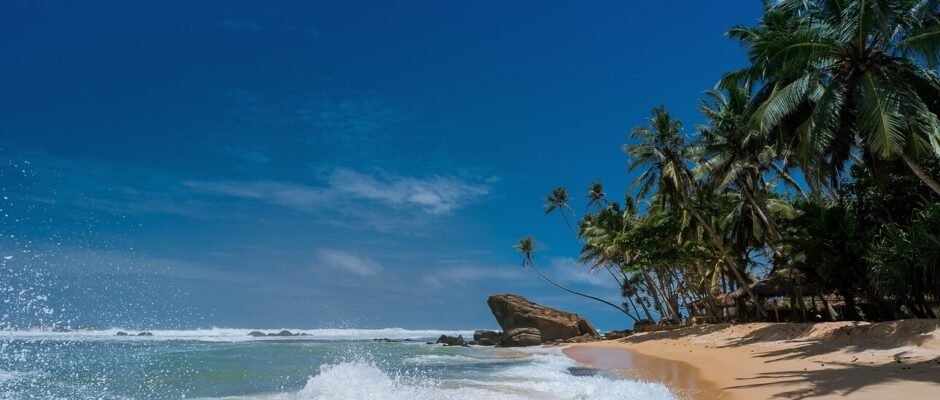 La invención de Morel