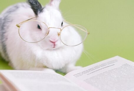 Conejo lector en su reto de lectura