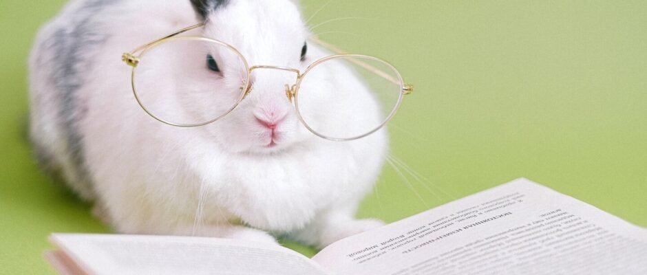 Conejo lector en su reto de lectura